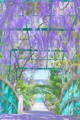 春の花のメインストリ－ト１