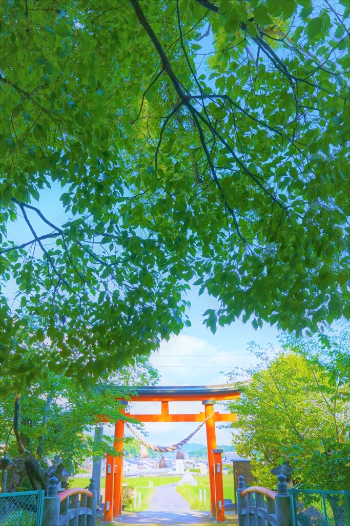 岡崎　山中八幡宮１