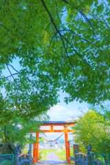 岡崎　山中八幡宮１