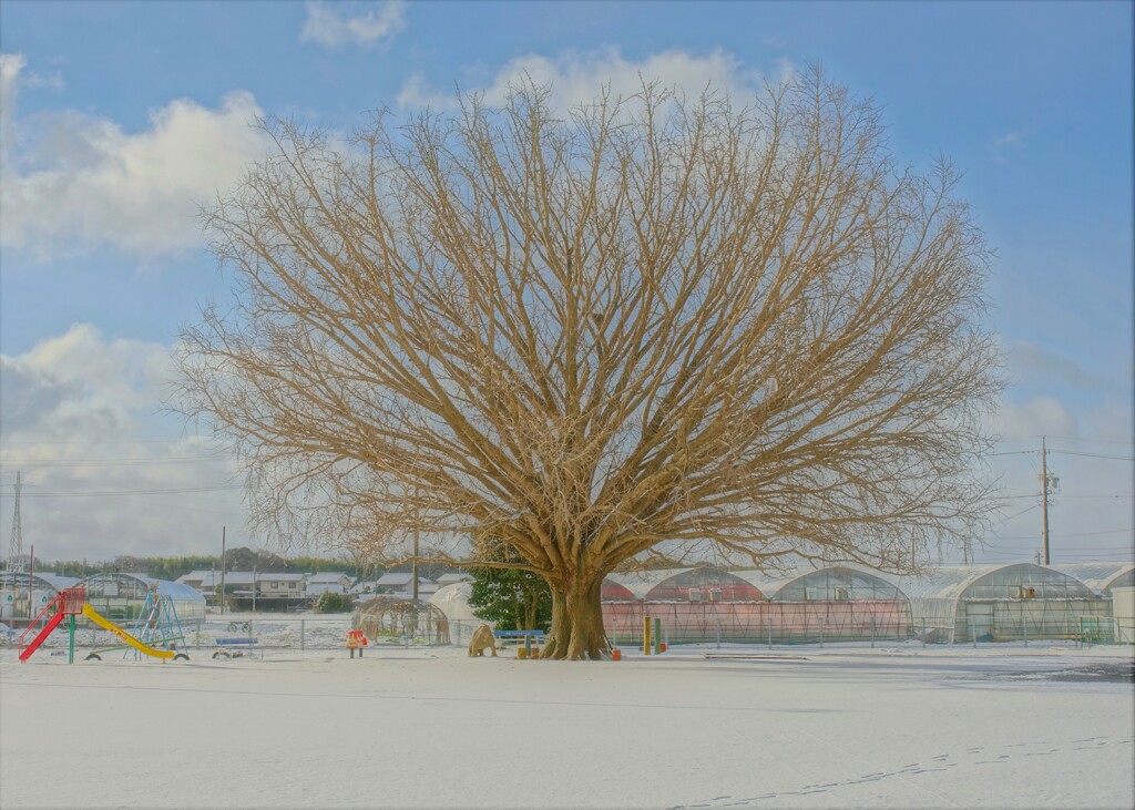 白い時　喪失