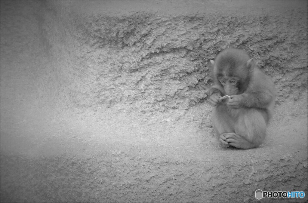 どうせ僕なんて…