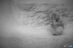 どうせ僕なんて…