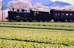 男のロマンの塊春を駆ける