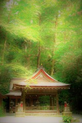 夏の貴船神社５