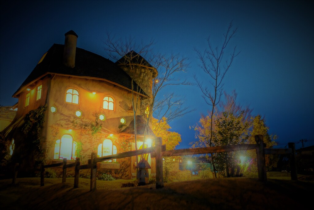 さんぽ道　Night