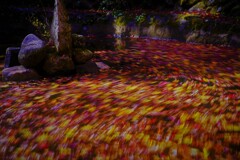 風とモミジの絵画２