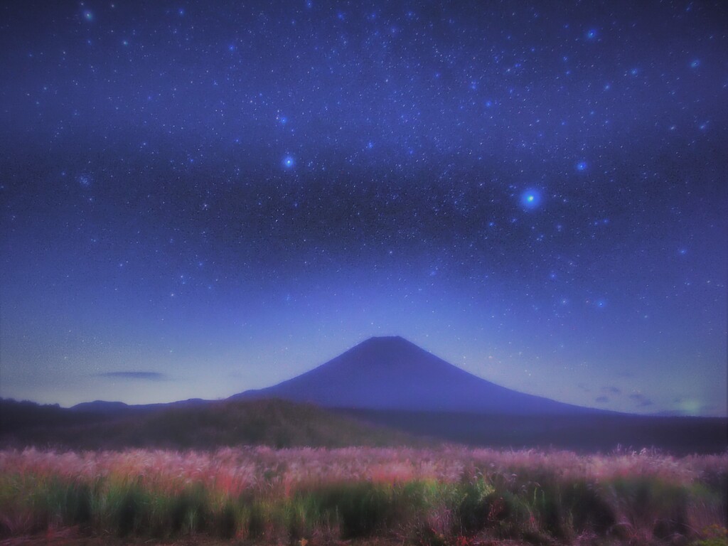 ススキの向こうに。。。