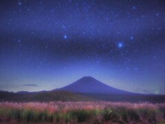 ススキの向こうに。。。