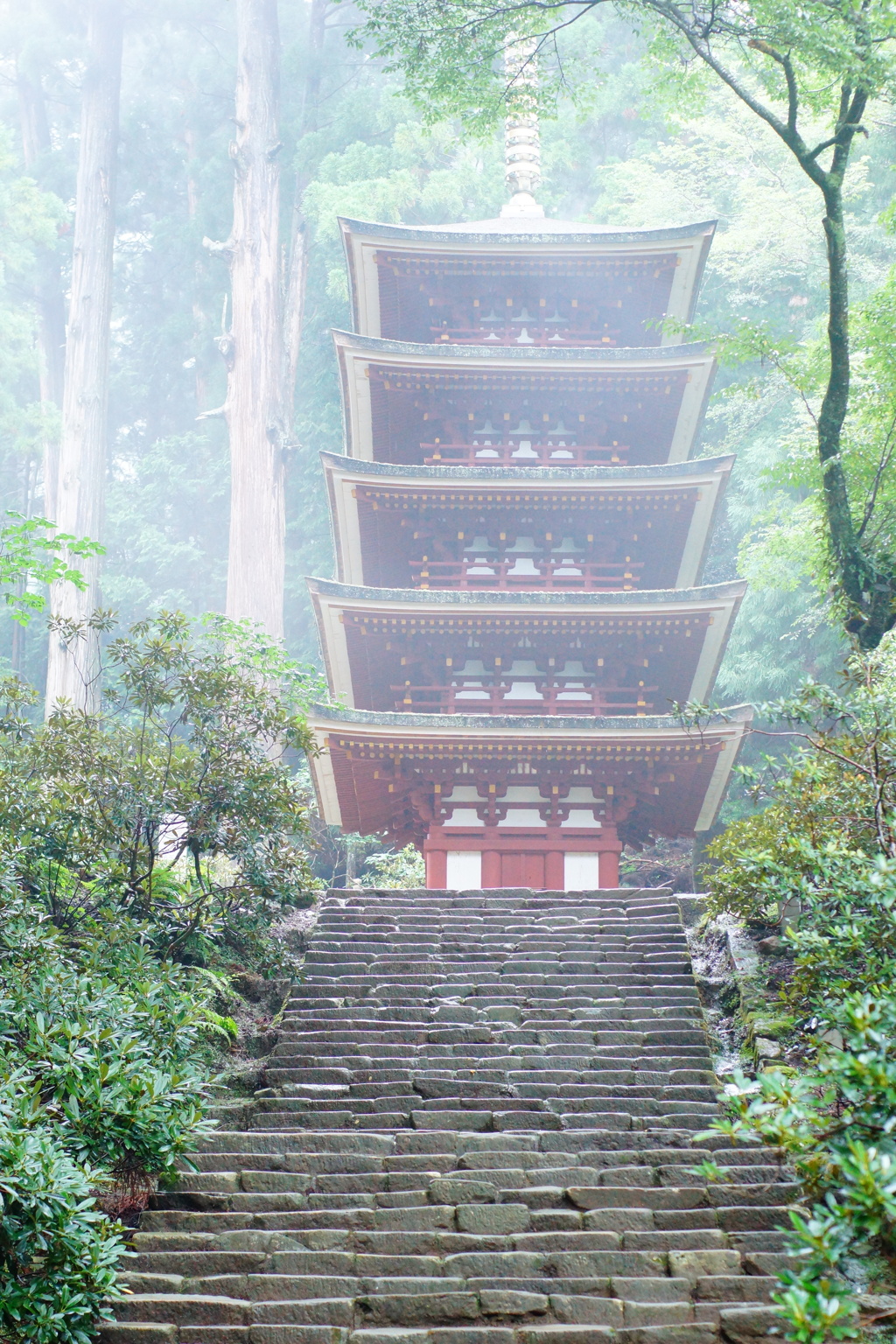 雨の室生寺