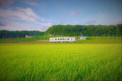 夏の天浜線６