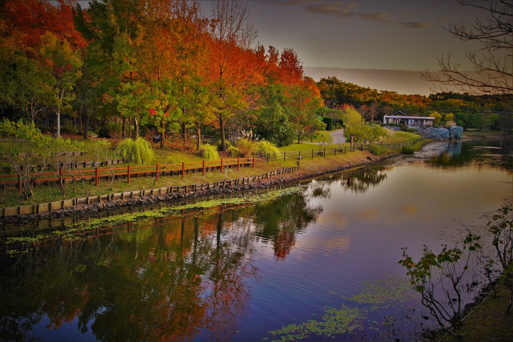 秋色を映す夕刻の運河