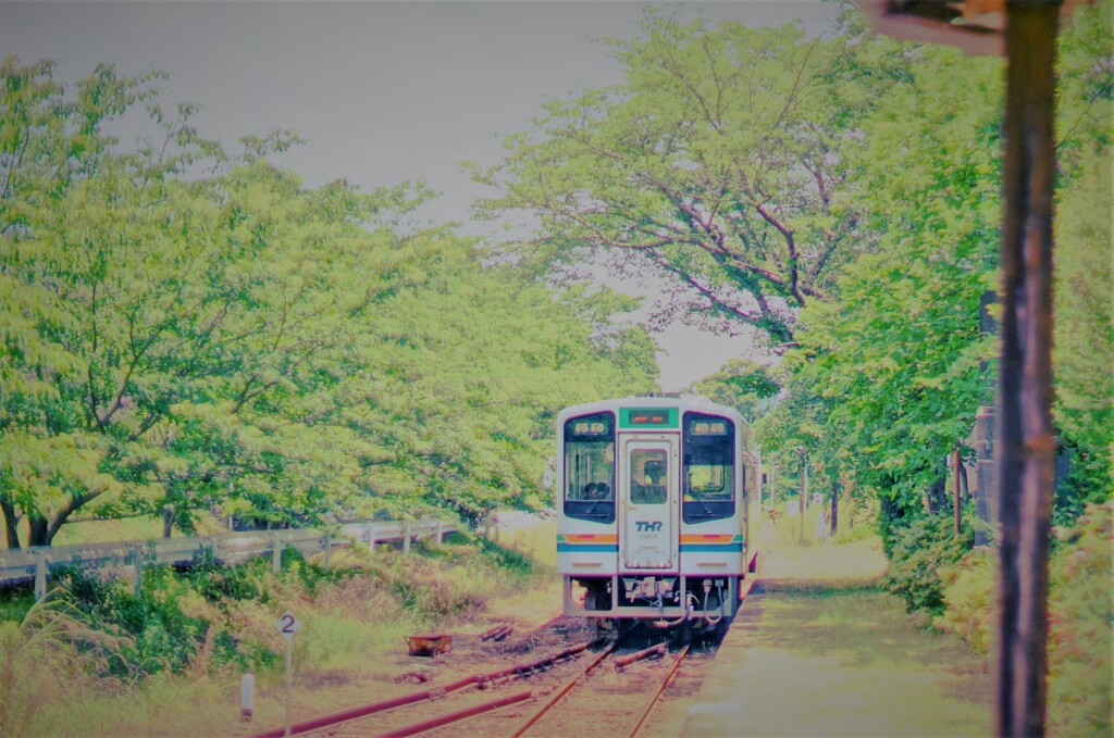 新緑の都田駅