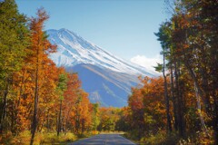 秋の絶景ロード