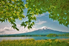 新緑モミジと。。。