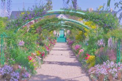 春の花のメインストリート２