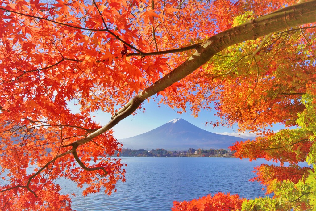 額縁紅図