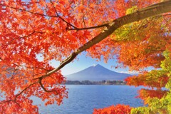 額縁紅図
