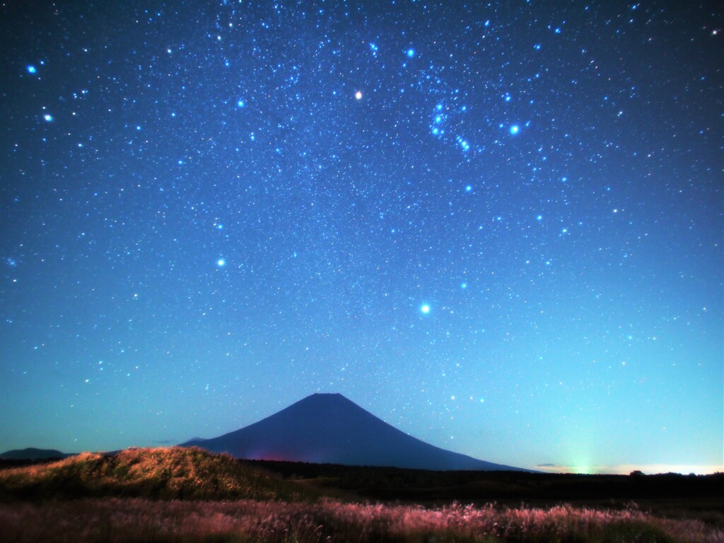 ♬星が落ちそうな夜だから。。。