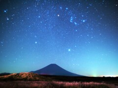 ♬星が落ちそうな夜だから。。。