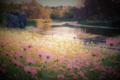 秋の夕刻の運河