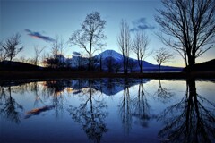 似て非なるモノ－きららっぱら