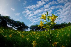 雨上がりの青空に