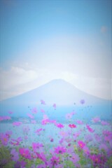 コスモスに包まれて