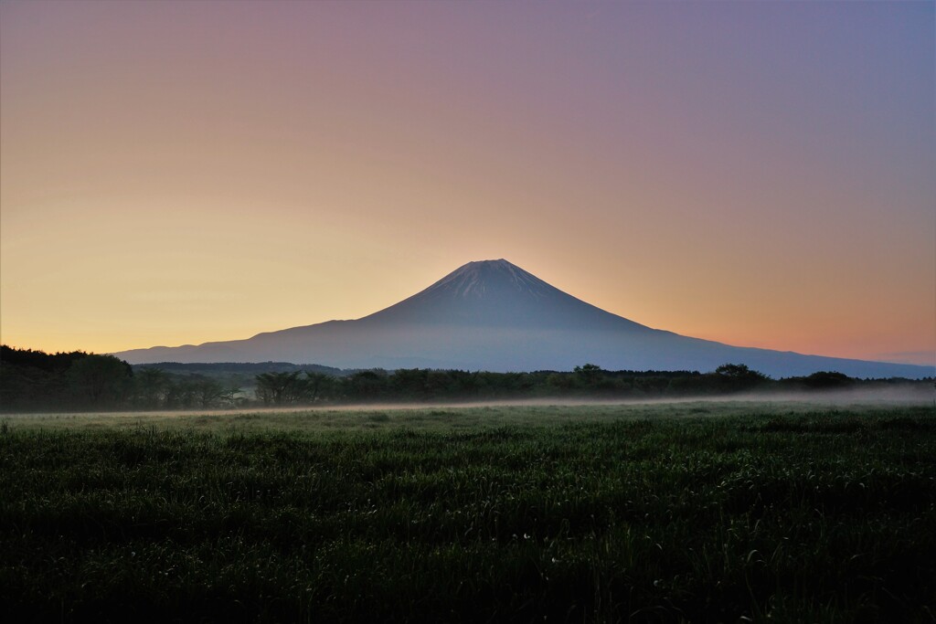 霧立ち昇る高原の朝