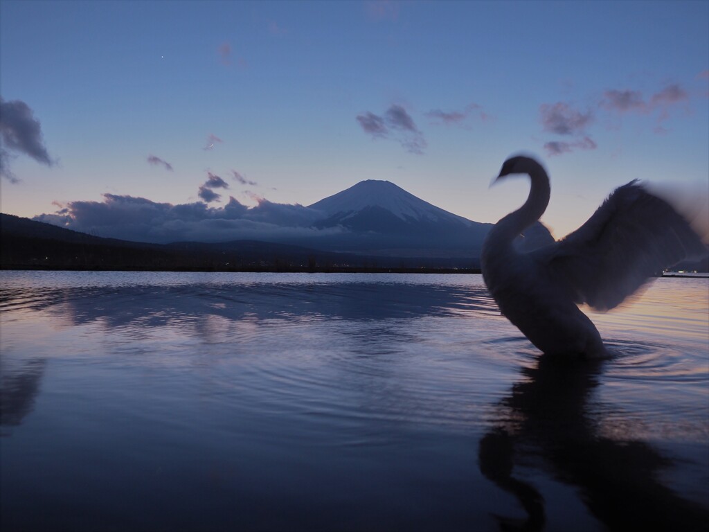 白鳥さん邪魔な雲を吹き飛ばしてください！