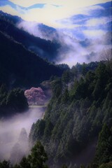 マイナ－ポイントから