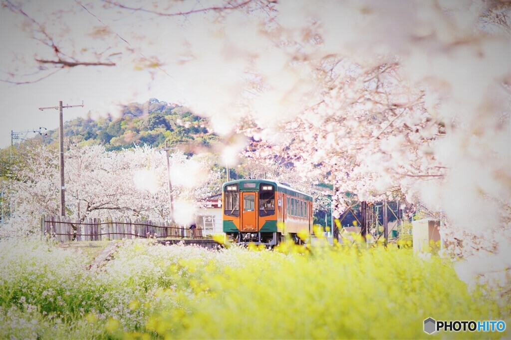 春の駅舎　停車中２