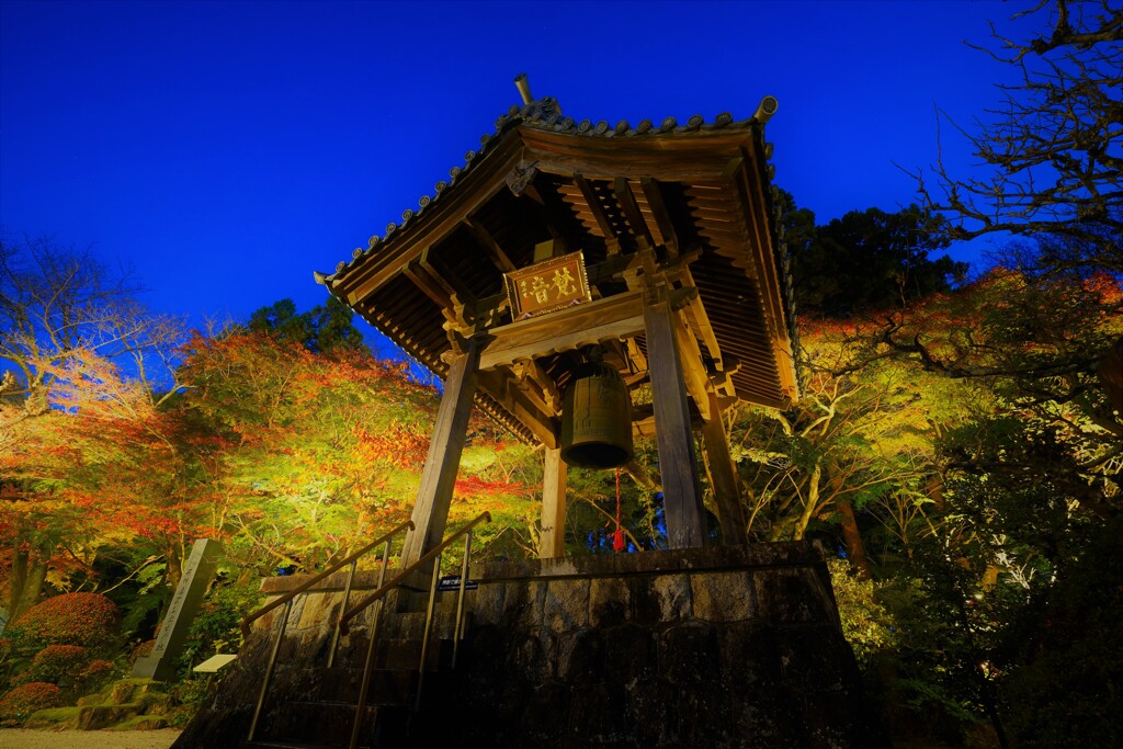 遠州の古刹　龍潭寺３
