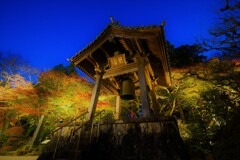 遠州の古刹　龍潭寺３