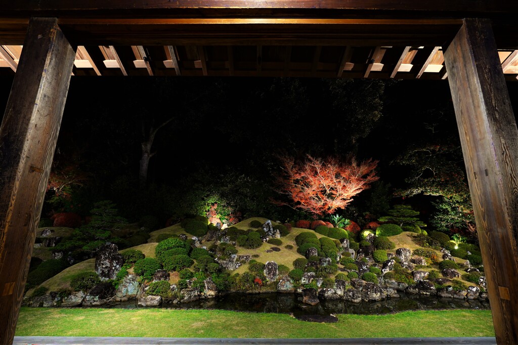 遠州の古刹　龍潭寺５