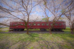 桜の中に眠る遺産２