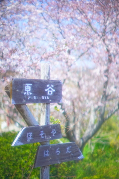 春の駅舎の道しるべ