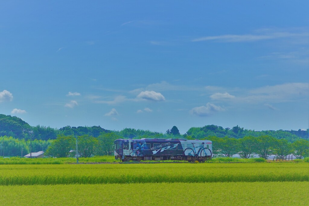 夏の天浜線１０