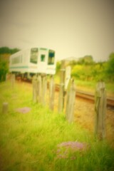 のどかな春を行く