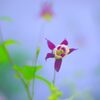 一人芝居