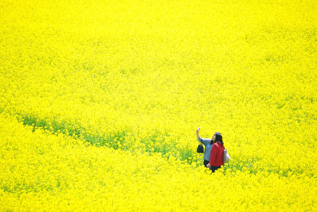 繚乱の中に