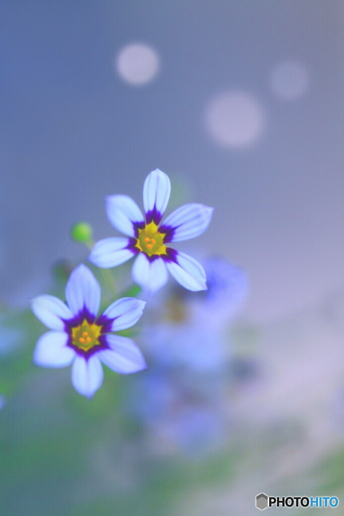 会えて嬉しいよ・・