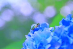 素敵なソファー