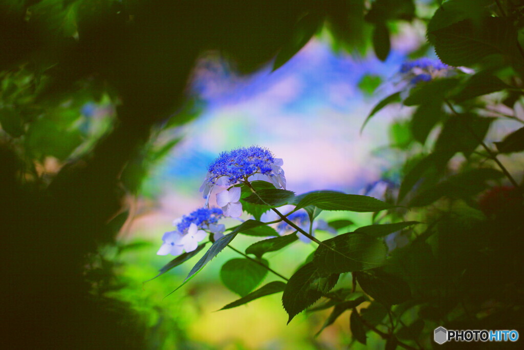 木下闇の先に