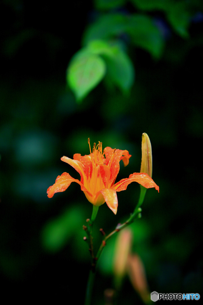 一人芝居