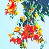凌霄花