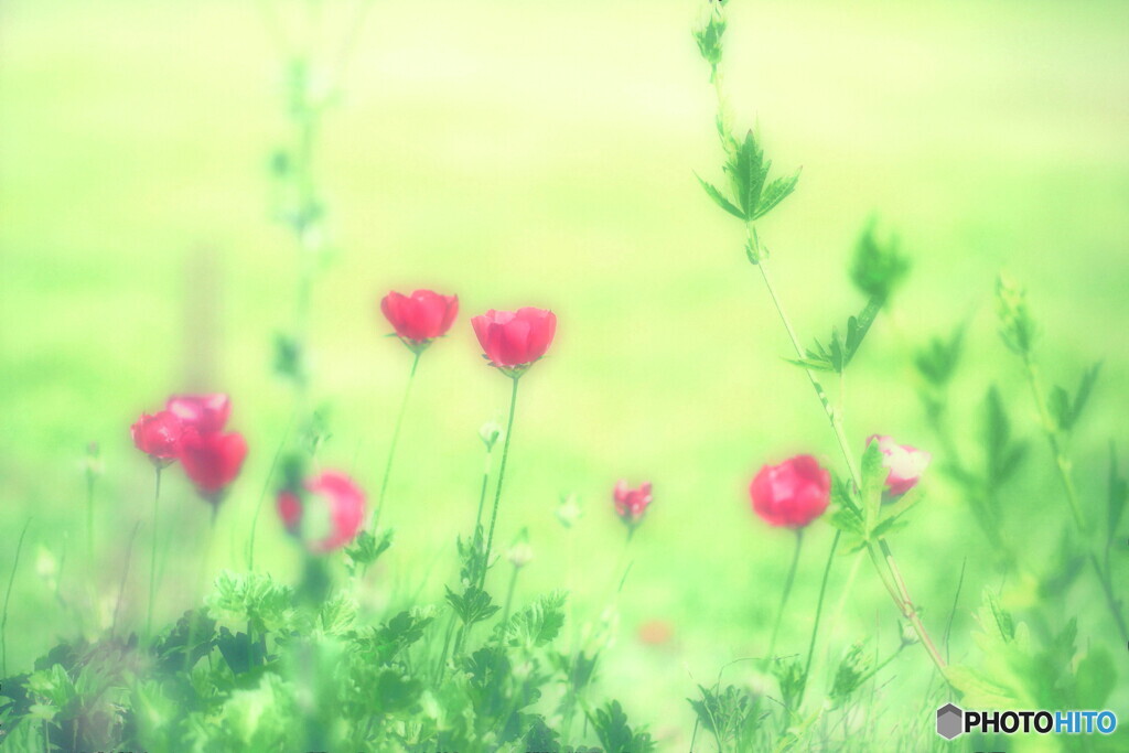 花壇の片隅に