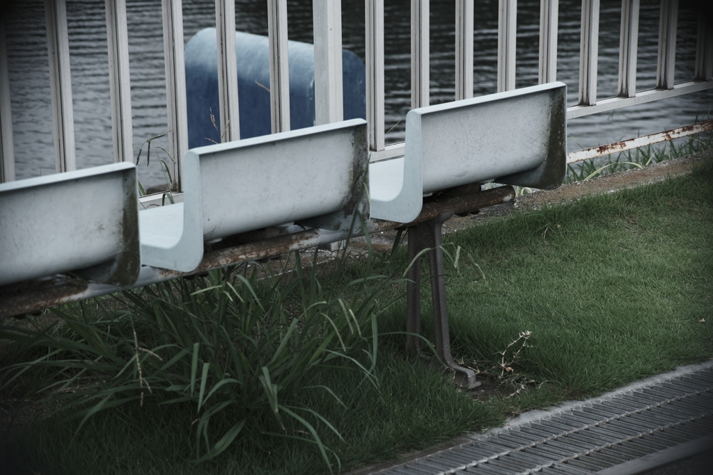 本日（7/10）の撮りもの（6）