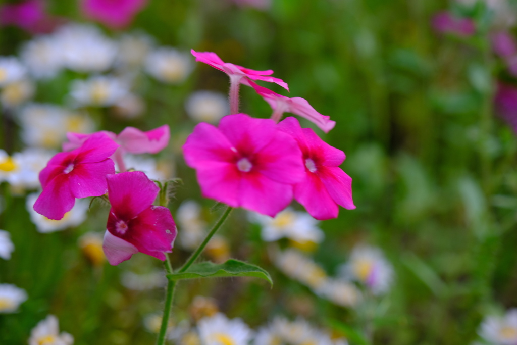 仕事帰りに（4）