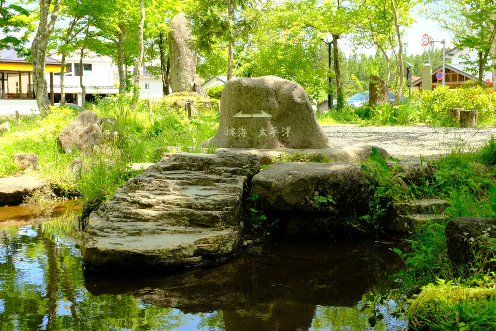 本日（5/28)の撮りもの（6）