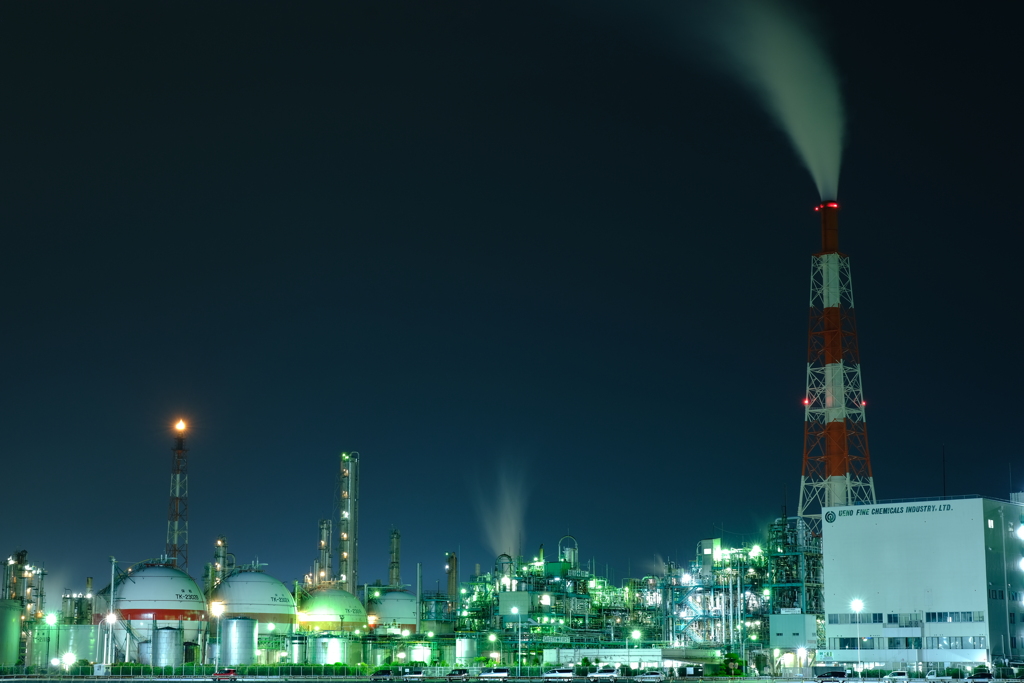 本日(6/3)の撮りもの（7）